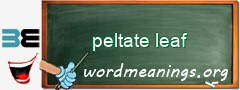 WordMeaning blackboard for peltate leaf